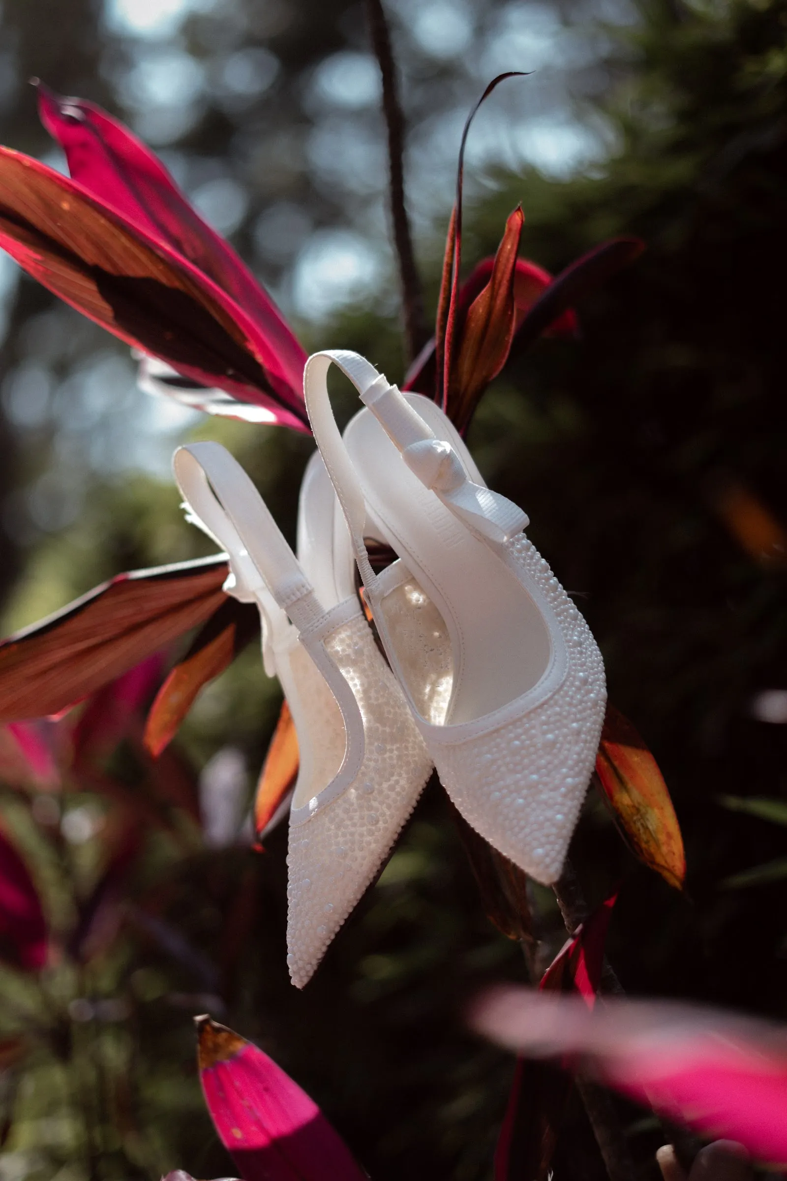 Detalle de una flor de la decoración de la boda
