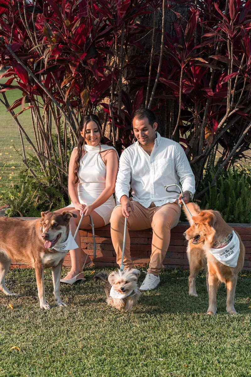 Paola y Carlos sentados en el jardín con sus tres perros